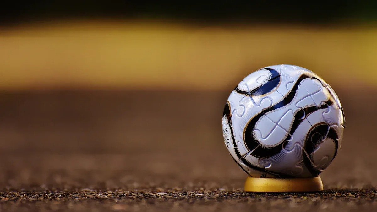 soccer ball on grass2
